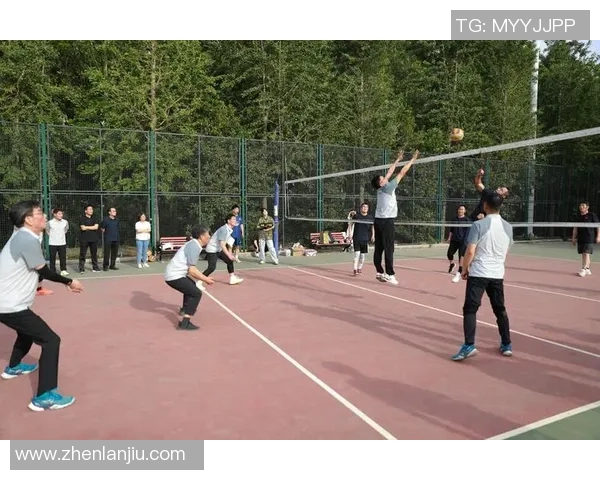 成都排球队在全国排球灵活性排行榜中荣获第七名的佳绩引发关注 成都排球队在全国排球灵活性排行榜中荣获第七名的佳绩引发关注