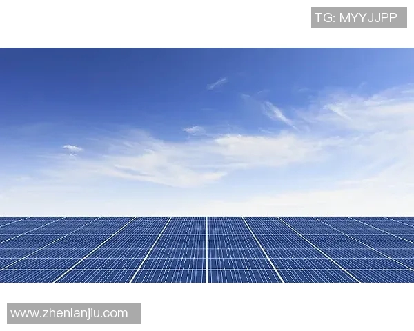 掘金总经理讨论未来发展计划，新援表现受关注