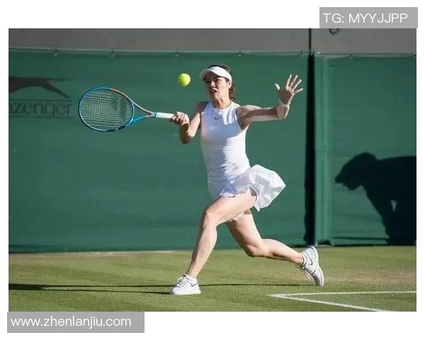 权威发布网球运动员个人能力实力榜单揭晓引发热议